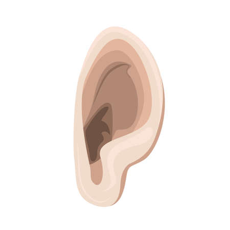 human ear vector drawignのイラスト素材