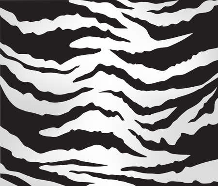 zebra pattern vectorのイラスト素材