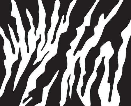 zebra stripes pattern background vectorのイラスト素材