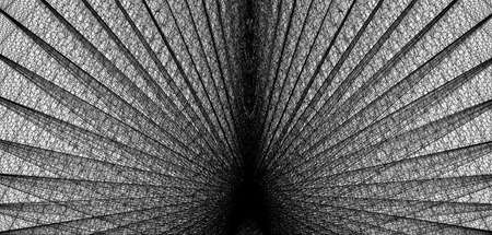 abstract grayscale grid. mesh background black and white