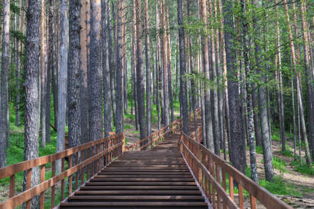 Wooden stairs in landscape park Stolby, near Krasnoyarsk, Russiaの写真素材