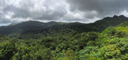 Jungles in El Yunque National Forestの写真素材