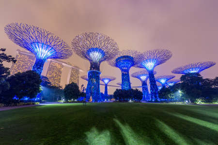 Singapore, Singapore - circa September 2015: Supertree Grove in Gardens by the Bay, Singaporeのeditorial素材