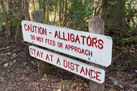 Caution sign warning about alligators in Brazos Bend State Park near Houston, Texasの写真素材