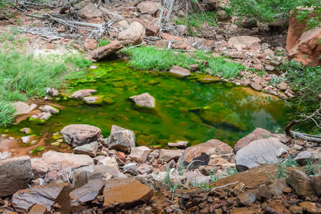 Emerald Pool in Zion National Park in Utahの写真素材