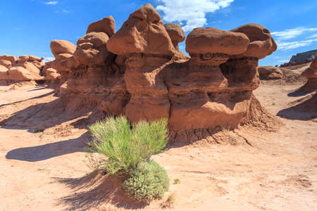 Hoodoo Rock pinnacles in Goblin Valley State Park, Utah, USAの写真素材