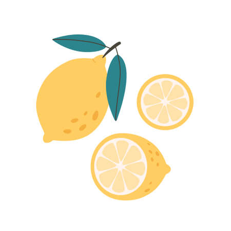 Fresh lemon with lemon slices. Citrus fruit. Healthy food. Vector illustration in flat styleのイラスト素材