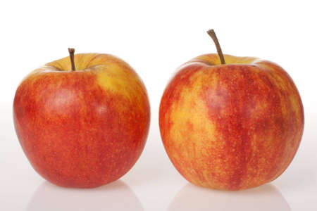 Two red apples on white background with reflectionの写真素材