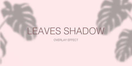 Monstera leaves shadow overlay effect isolated on pink background vector template.