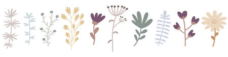 Hand drawn doodle floral elements and leaves collection isolated on white background.のイラスト素材