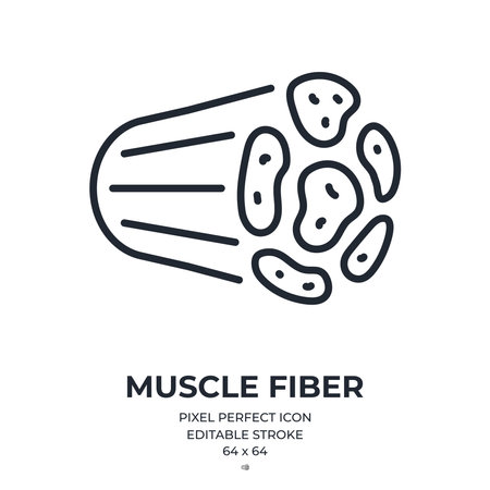 Muscle fiber and tissue editable stroke outline icon isolated on white background flat vector illustration. Pixel perfect. 64x64.のイラスト素材