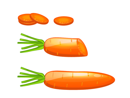 orange carrot infographics elements with slices vectorのイラスト素材