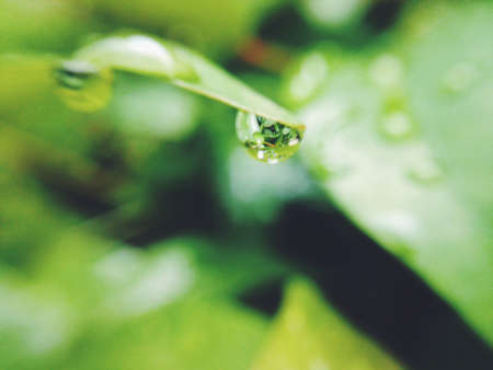 Water drop shoot micro