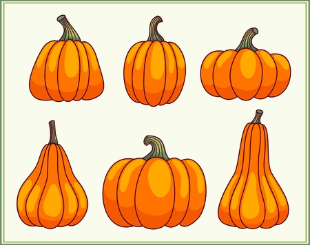 Set of pumpkins のイラスト素材