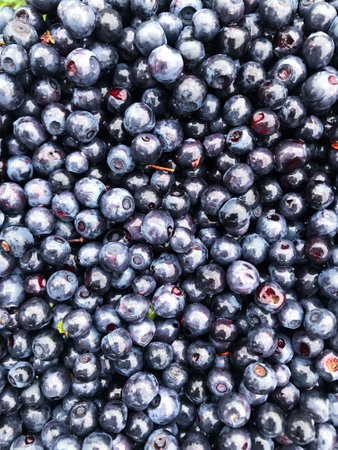 Handmaid hat made of cattail lies on a benchの写真素材