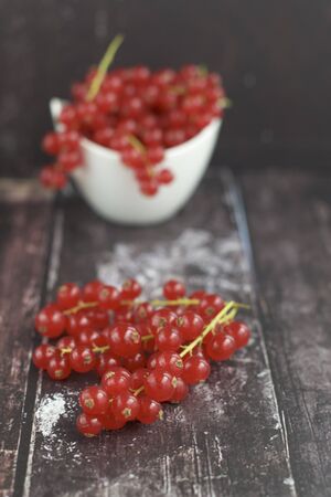 fresh red currantsの写真素材