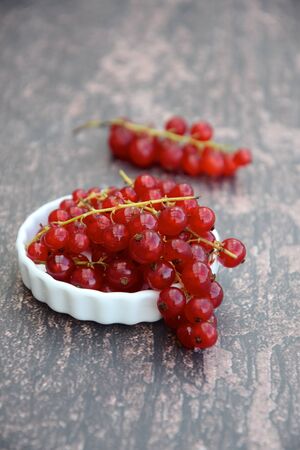 fresh red currantsの写真素材