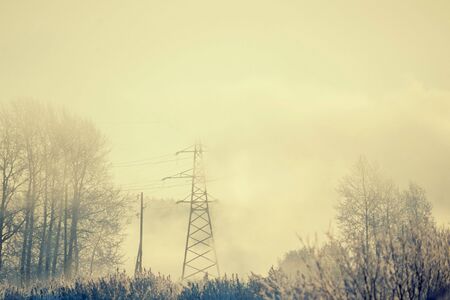 The poles in the frosty mist, Winter morningの写真素材