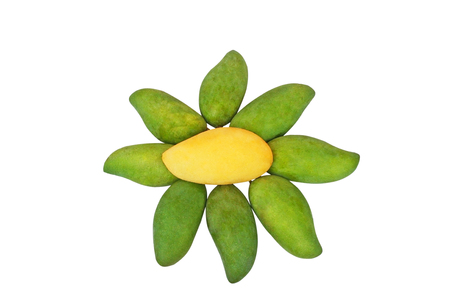 Ripe mango Isolated,flowers shape conceptの写真素材