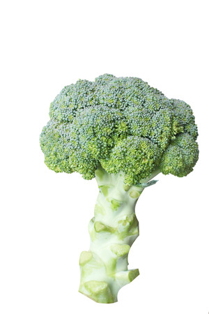 green broccoli isolatedの写真素材