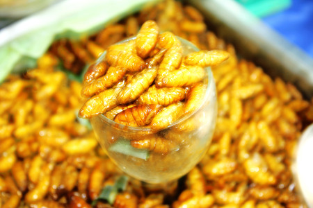 stir fried silkworms  in glass,Thai food