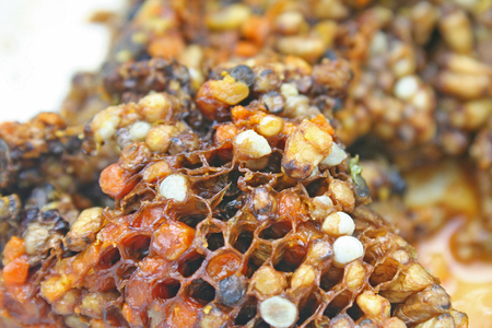 Steamed honeycomb, northern traditional Thai foodの写真素材