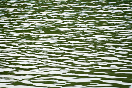 Lake waves surfaceの写真素材