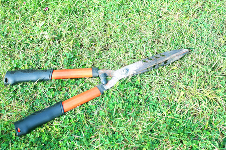 Grass  shears on the green grass,background