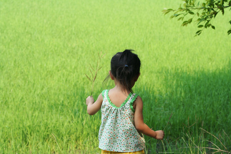 Asian child girl playing and having fun near rice fieldの写真素材