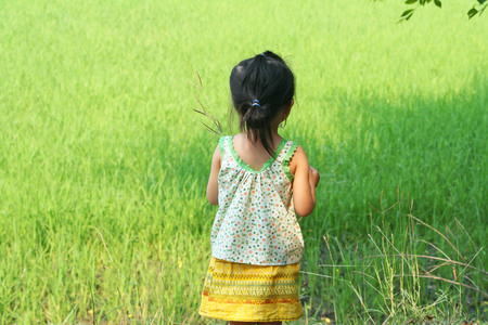 Asian child girl playing and having fun near rice fieldの写真素材