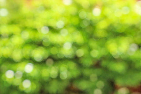 Bokeh patterns in garden,abstract natural backgroundの写真素材