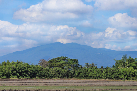 Landscape rural in thailand nature backgroundの写真素材