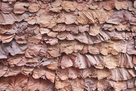 Texture  Layer dried leaves on wall , Traditional thai design nature background