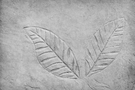 Patterns nature of couple gray leaves printed texture in concrete floor for backgroundの写真素材