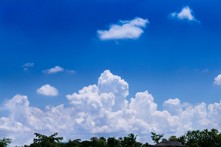 Green tree top with roof of home over on  beautiful blue sky and big clouds group for backgroundの写真素材