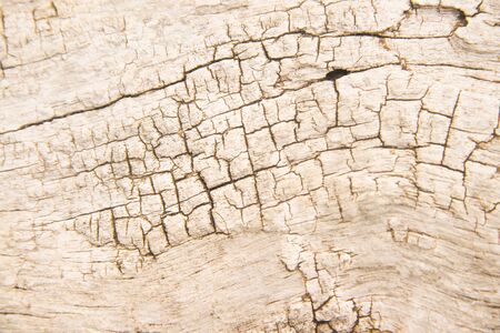 Wood old texture with nature line cracked patterns for background