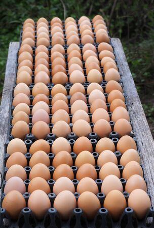 Fresh raw eggs with nature speckled in black tray