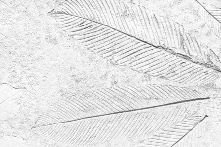 Concrete floor texture with leaves printed patterns white gray  backgroundの写真素材