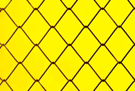 Colorful orange carps fish swimming in pond at garden backgroundの写真素材