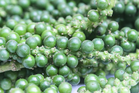 Bread toast with sweet condensed milk on wood plate isolated on white background , clipping pathの写真素材