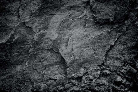 Close up green butterhead lettuce organic salad vegetable group in hydroponics farm natural backgroundの写真素材
