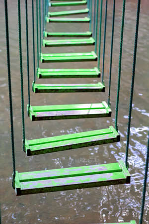 Isolated top view of yellow rose flowers on white backgroundの写真素材
