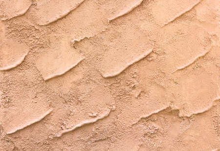 Isolated top view of yellow rose flowers on white backgroundの写真素材