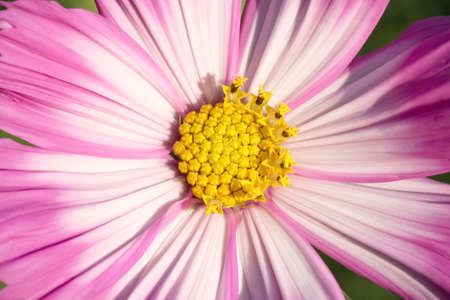 Close up rainbow on cloud blue sky background after rainの写真素材