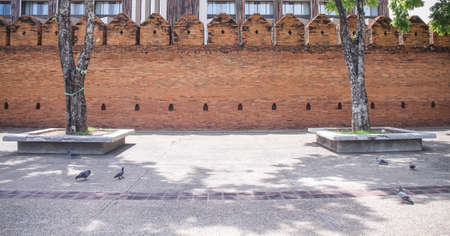 White cloud soft texture on vast blue sky ackground and spaceの写真素材