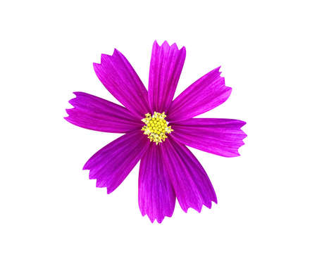 White cloud soft texture on vast blue sky ackground and spaceの写真素材