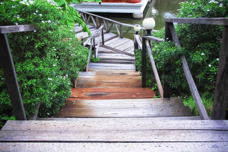 Sweet pink rose blossom blooming close up background for valentine or wedding dayの写真素材
