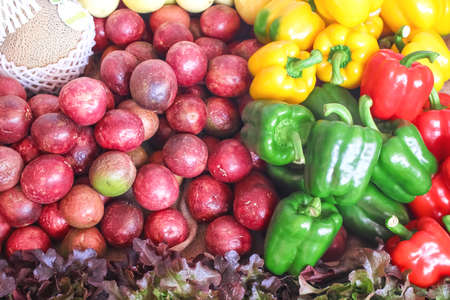 Xylotrupes gideon female male or Siamese rhinoceros beetle ( Fighting beetle )  isolated on white backgroundの写真素材