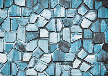 Xylotrupes gideon female male or Siamese rhinoceros beetle ( Fighting beetle )  isolated on white backgroundの写真素材