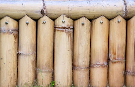 Rusty zinc fence home texture with small green plant growing for   abandoned wall backgroundの写真素材